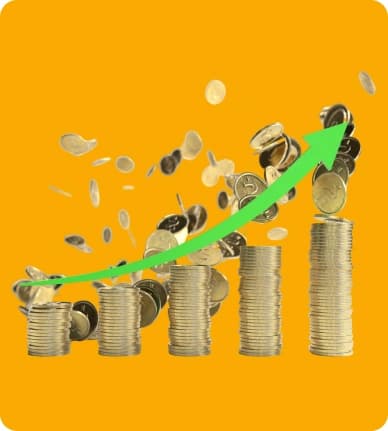 Improved Financial Visibility 