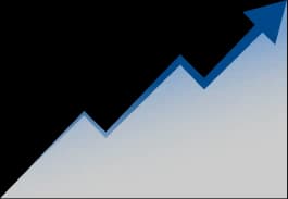 Revenue Growth